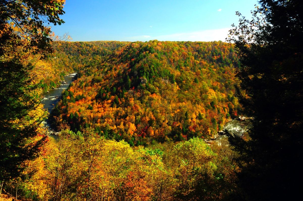 CarnifexFerrySP_10-2011-sjs-03 - West Virginia State Parks - West ...