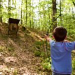 Greenbrier State Forest - West Virginia State Parks - West Virginia ...