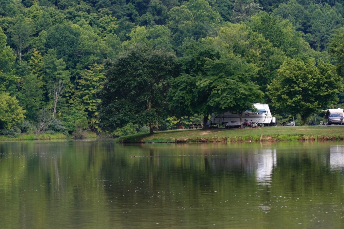 beech fork state park