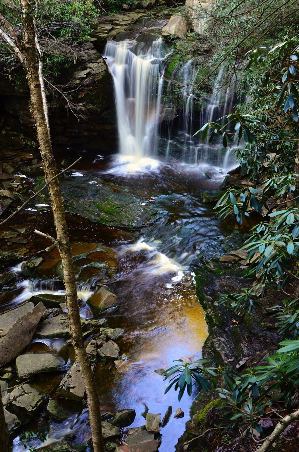 Blackwater Falls State Park - West Virginia State Parks - West Virginia