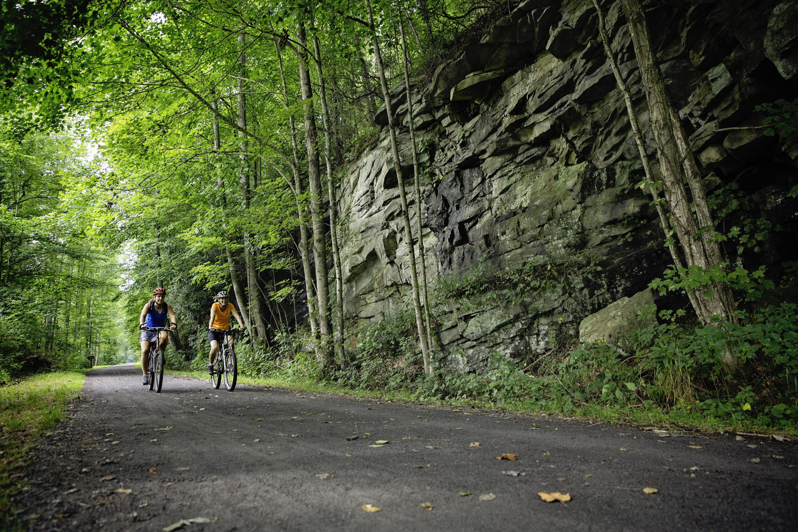 Greenbrier river shop trail camping