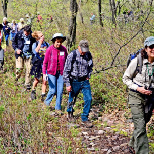 Go Outside and Hike at a State Park During National Trails Day