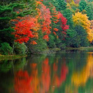 West Virginia State Parks’ Must See Fall Foliage Spots