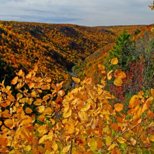 Why you should visit West Virginia state parks every chance you get