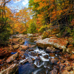 Plan a Fall Foliage Tour of West Virginia State Parks