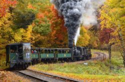 7 Favorite Fall Activities for Family Fun and Adventure