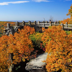 Top 5 Instagrammable Fall Foliage Spots at State Parks