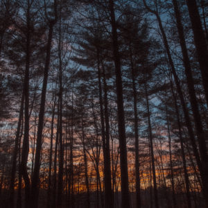 Start the New Year Off Right with a West Virginia Wildlife Calendar