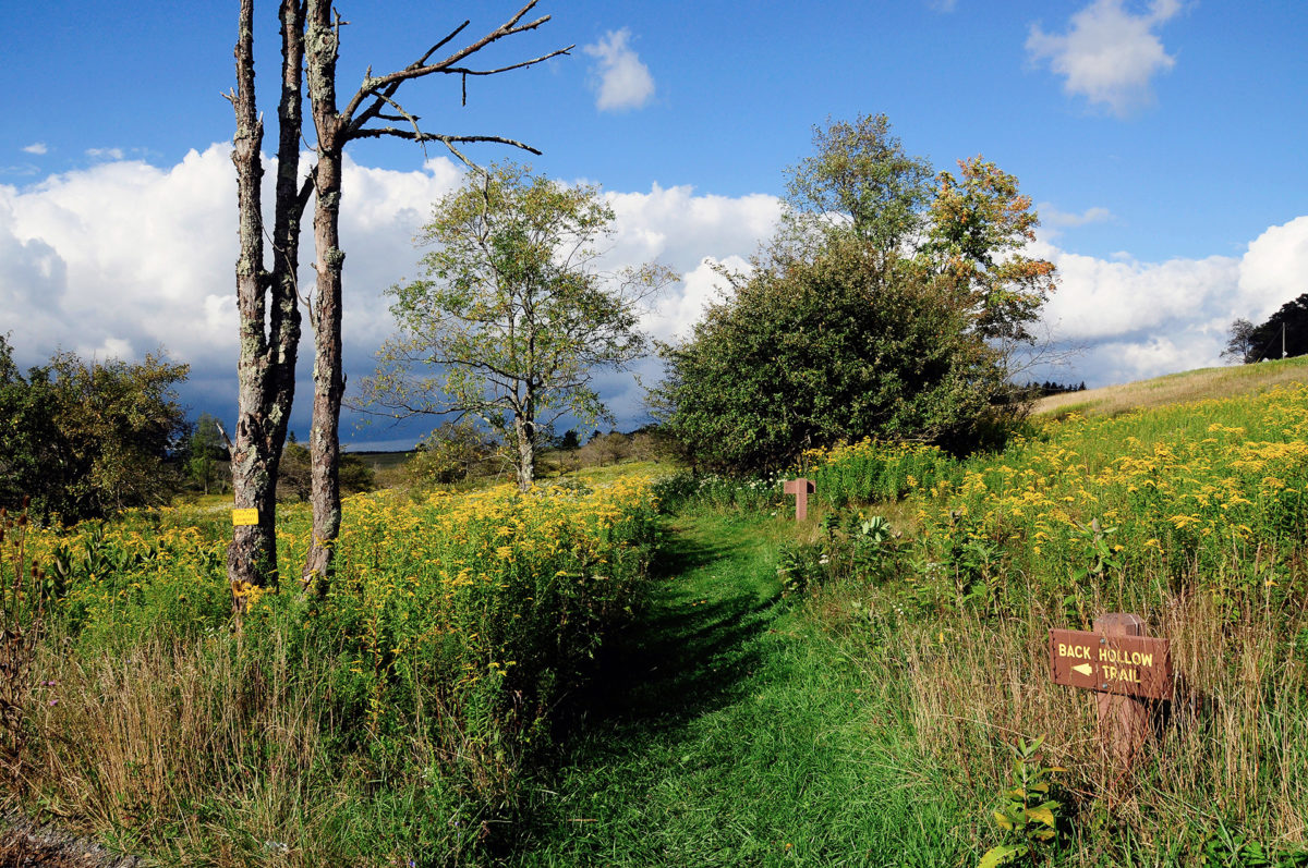 Canaan Valley Resort State Park offers four seasons of outdoor