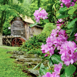 Thinking of Spring? Check out these West Virginia State Parks