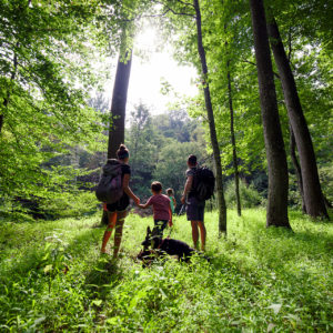 Spend your spring break at these family friendly state parks