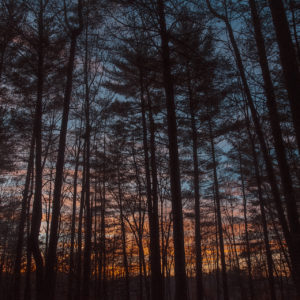 Your perfect cozy cabin getaway is at a West Virginia State Park
