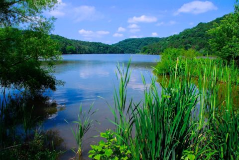 Camping at Summersville Lake State Park - West Virginia State Parks