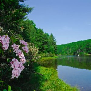 4 visuals to help you enjoy state parks while social distancing