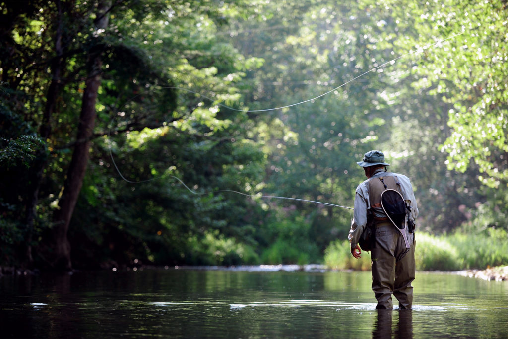 Plan a family fishing adventure at West Virginia state parks - West ...