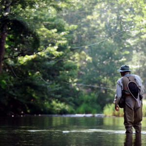 Guided Fishing Trips Come to Pipestem Resort