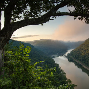 The perfect spring day according to TripAdvisor