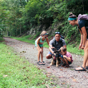Plan a visit at a WV state park when you need a getaway with your animal companion￼
