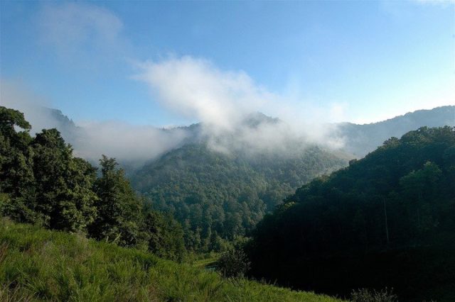 Chief Logan Camping - West Virginia State Parks - West Virginia State Parks