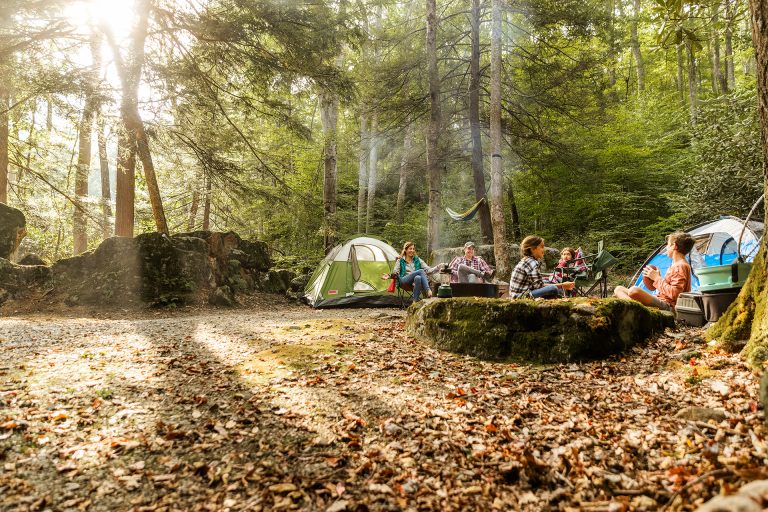 Can You Camp in State Parks?  Unleashing the Wild Side of Your Next Adventure