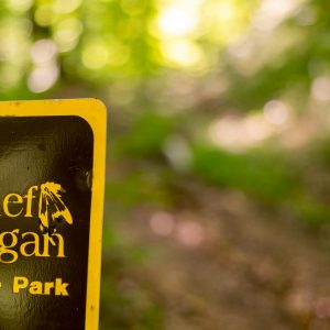 Your guide to summer adventures at Chief Logan