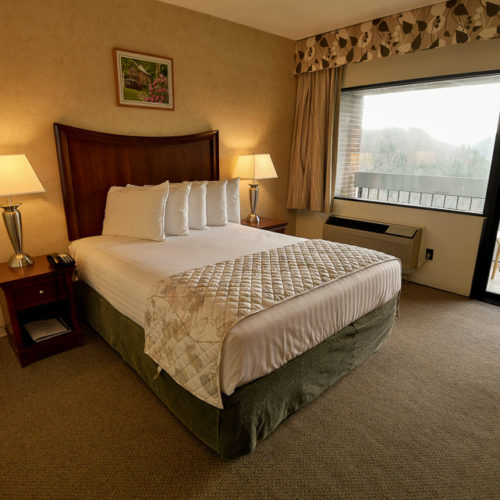 Photo of Canyon View Room, Queen