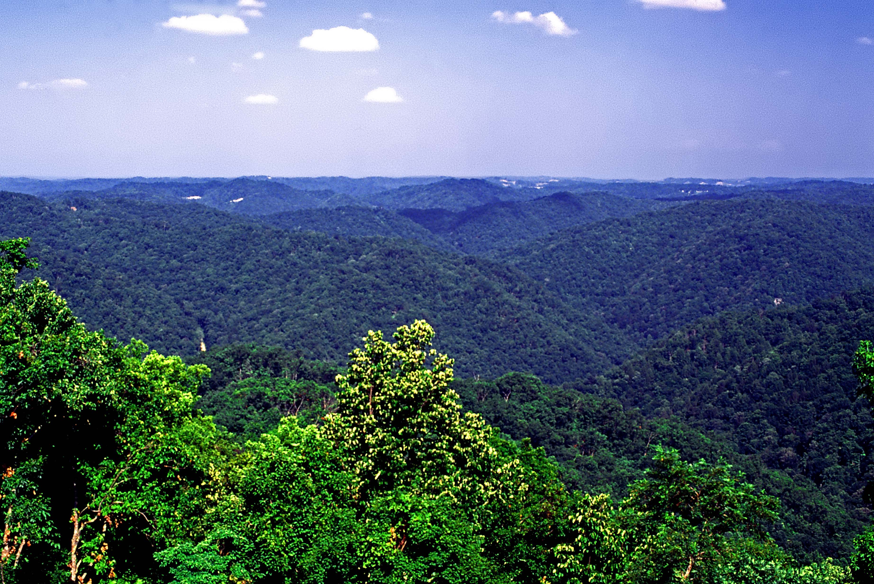 Panther State Forest Rs 0011 West Virginia State Parks West