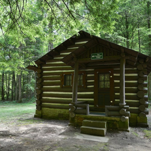 are dogs allowed in cabins in west virginia state parks