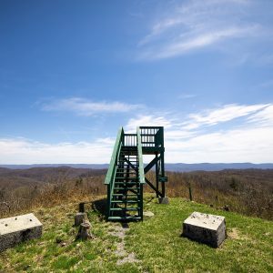 Leave your cares behind at Kumbrabow State Forest