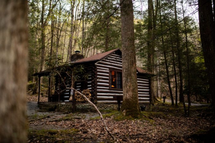 Holly River State Park, Cabin