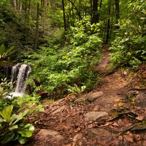 Find your mountain escape at Twin Falls Resort