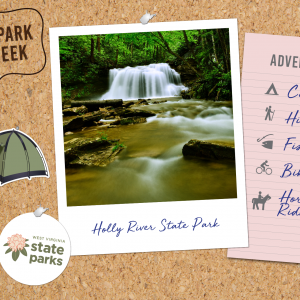 Holly River State Park is nature at its best