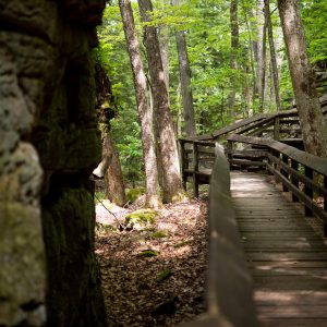Explore an ancient wonderland of towering rocks at Beartown
