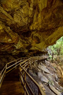 Alum Cave Audra
