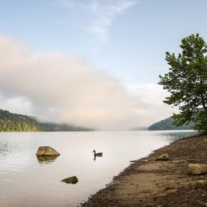 Add These West Virginia Lodge Stays to Your Summer Bucket List