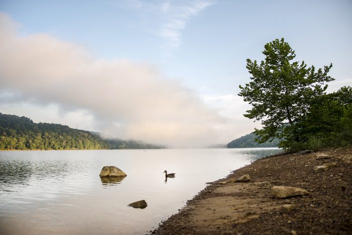 Tygart Lake beach alternative