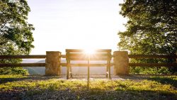 When you need a back to school trip. 5 parks to visit before summer ends.