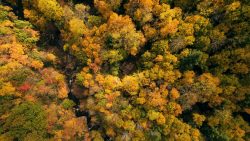 Blink and you’ll miss it: Why you need to plan your state park fall trip now