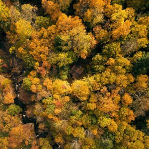 Blink and you’ll miss it: Why you need to plan your state park fall trip now