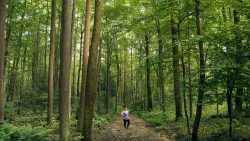 Discover hidden treasure at Coopers Rock State Forest