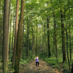 Discover hidden treasure at Coopers Rock State Forest