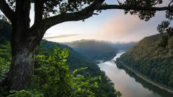 Why Hawks Nest is the perfect place for a trip to the New River Gorge