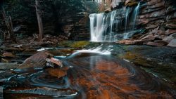 Get in the Halloween spirit with these October state park events