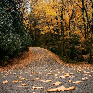 4 Babcock attractions other than the grist mill you need to see this fall