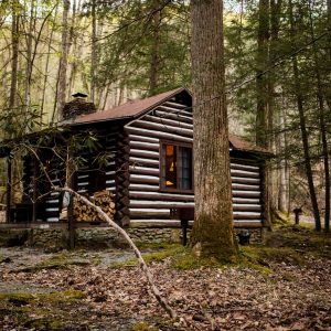 5 reasons why our cozy fall cabins are better than a hotel room