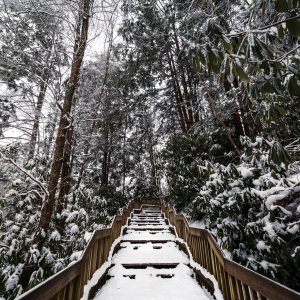 Step into the New Year at West Virginia State Parks and Forests