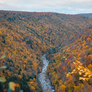 Dreamy photos to inspire your trips this fall