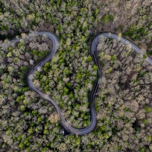 WV state parks have plenty of wide open spaces. Here's 5 ways you can enjoy them.