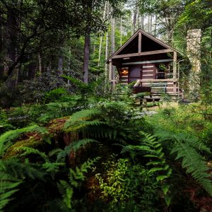How well do you know your WV State Parks?