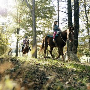 4 Horseback Riding Parks to Visit This Summer